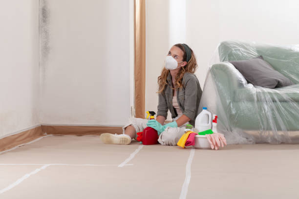 Reliable Basement Mold Remediation contractor in Lansdale, PA by WQB Mold Removal
