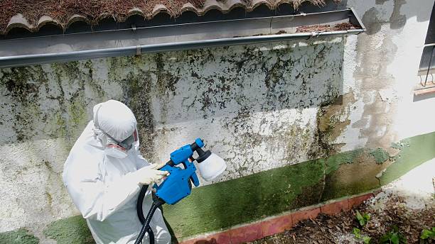Top rated local Basement Mold Remediation specialists in Lansdale, PA